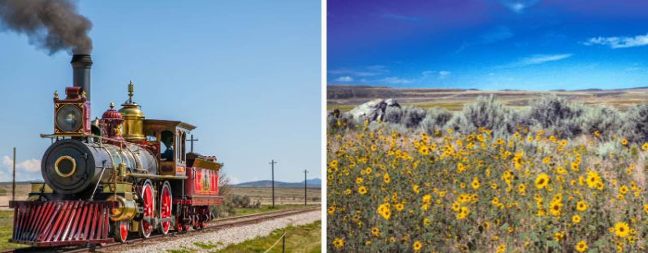 page-area-goldenspike