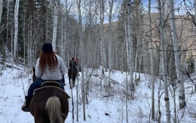 Saddle Up: Horseback Riding the Wasatch Back